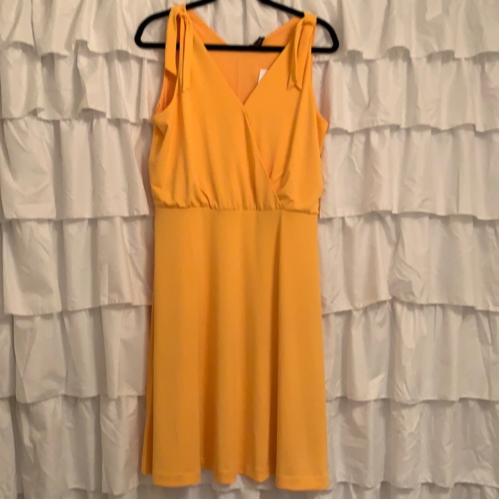 Ann Taylor Dress NWT